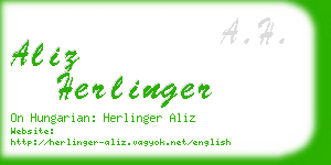 aliz herlinger business card